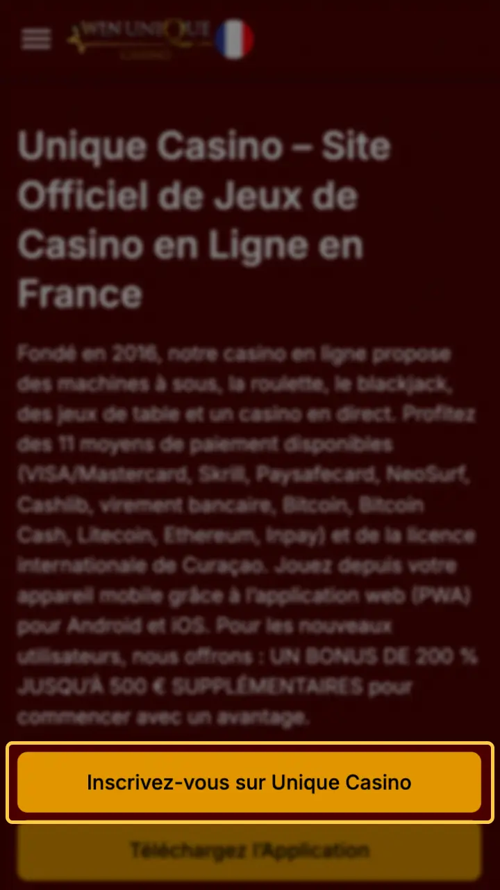 Cliquez sur le bouton de connexion pour accéder à Unique Casino.